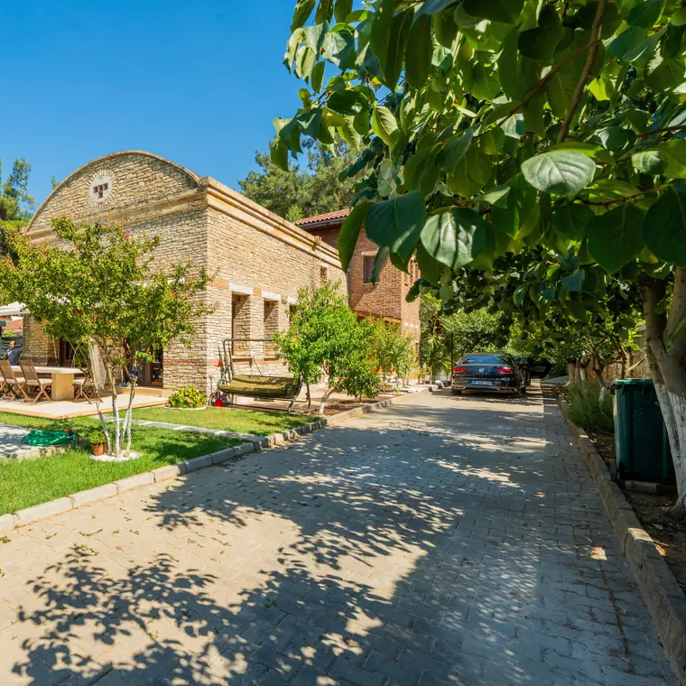 Ağaçlar arasında taş yol